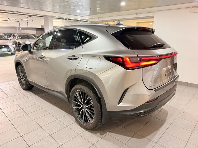 2022 Lexus NX 350h EXECUTIVE-2