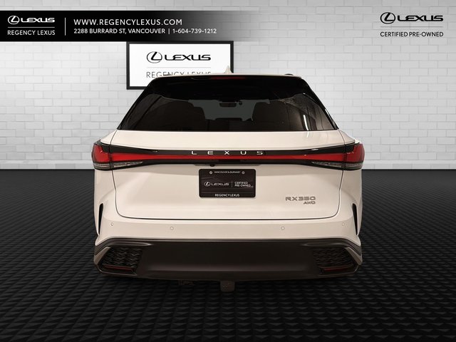 2023 Lexus RX 350-3