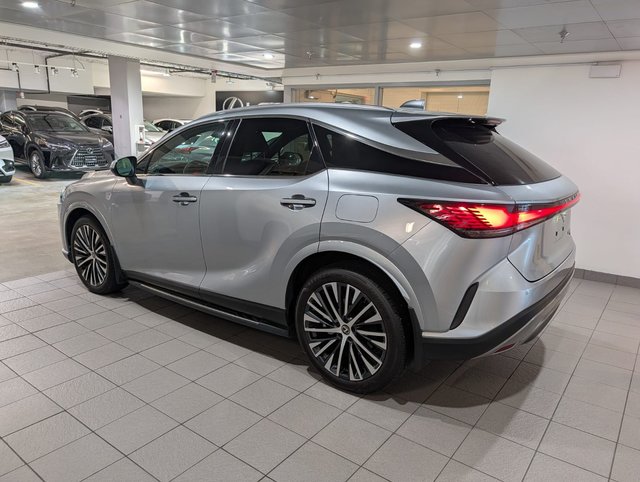 2023 Lexus RX 350-2