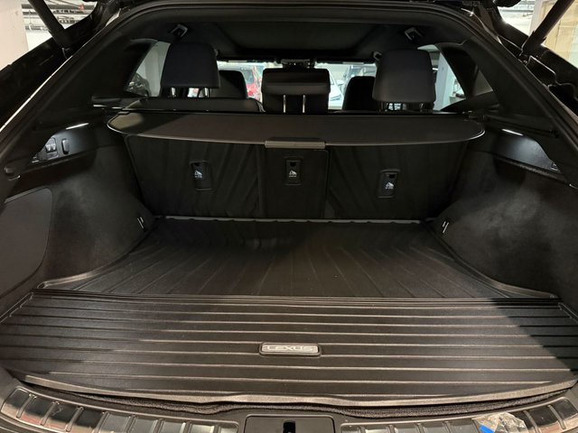 2023 Lexus RX 350h Ultra Luxury-6