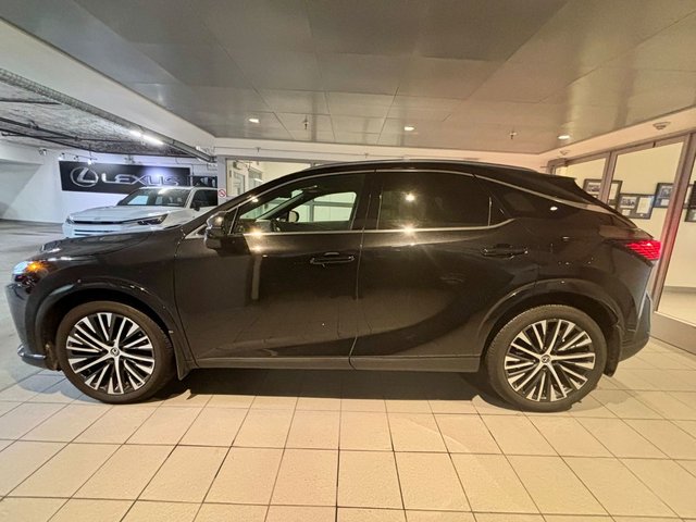 2024 Lexus RX 350h Ultra Luxury-3