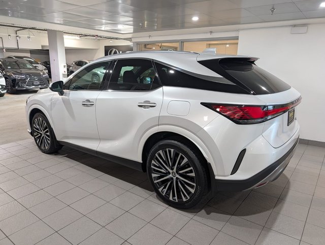 2024 Lexus RX 350h-3