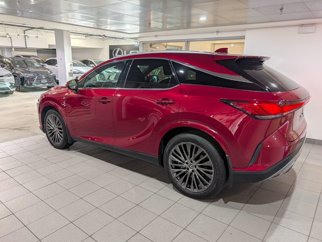 2024 Lexus RX 350h EXECUTIVE-2