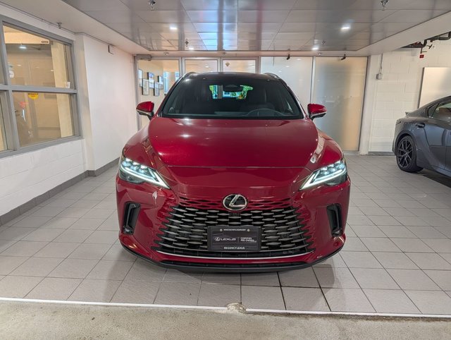 2024 Lexus RX 350h EXECUTIVE-1