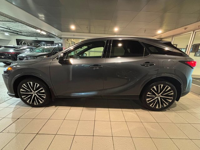 2024 Lexus RX 350h Ultra Luxury-2