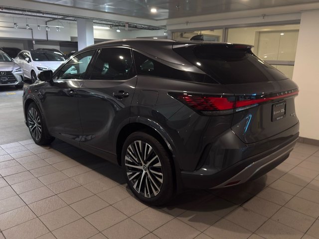 2024 Lexus Rx350 Luxury LA-3