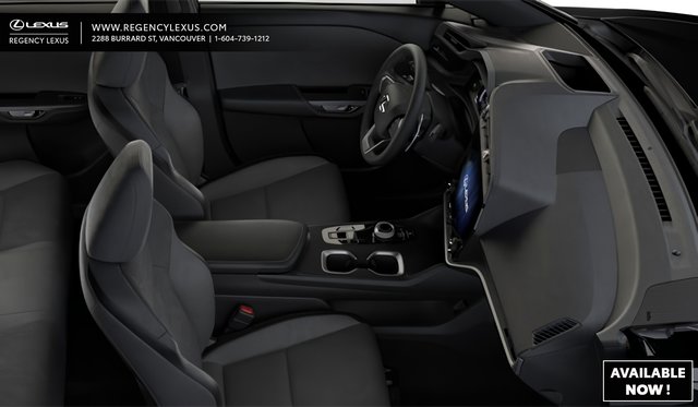 2025 Lexus RZ EXECUTIVE-3