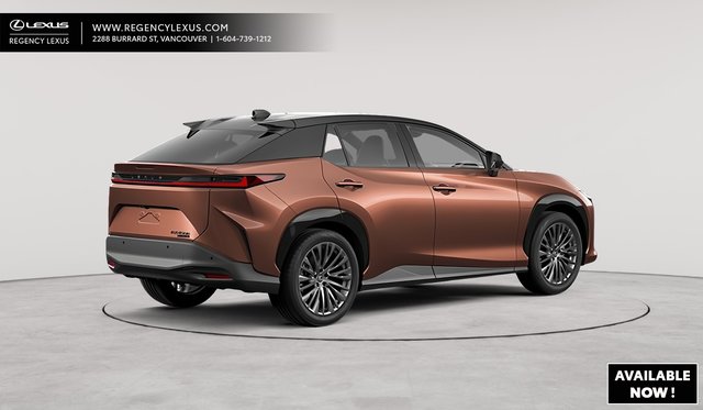 2025 Lexus RZ EXECUTIVE-2