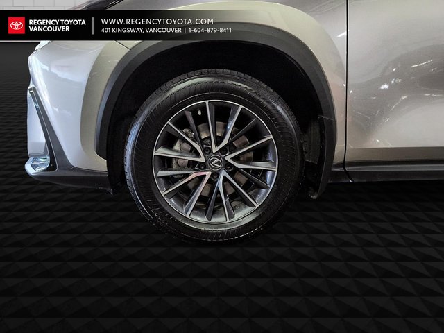 2022 Lexus NX 350h-1