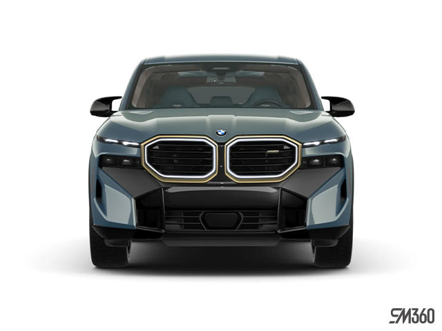 BMW XM BASE 2023 - Photo 3