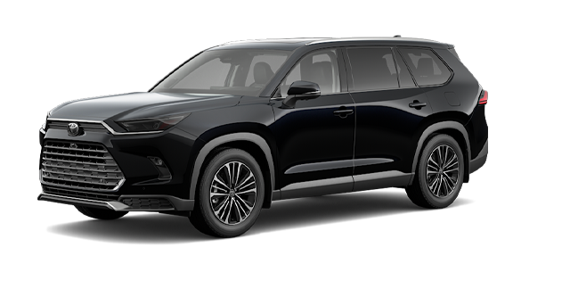 2025 TOYOTA Grand Highlander hybrid PLATINUM MAX - Exterior view - 2
