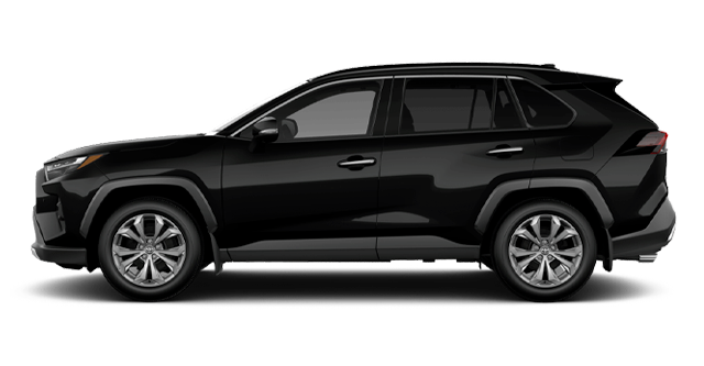 2025 TOYOTA RAV4 Hybrid LIMITED - Exterior view - 1