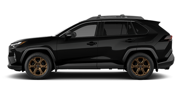 2025 TOYOTA RAV4 Hybrid WOODLAND - Exterior view - 1