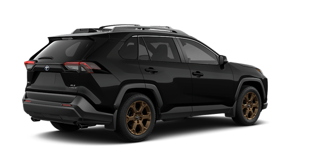 2025 TOYOTA RAV4 Hybrid WOODLAND - Exterior view - 3