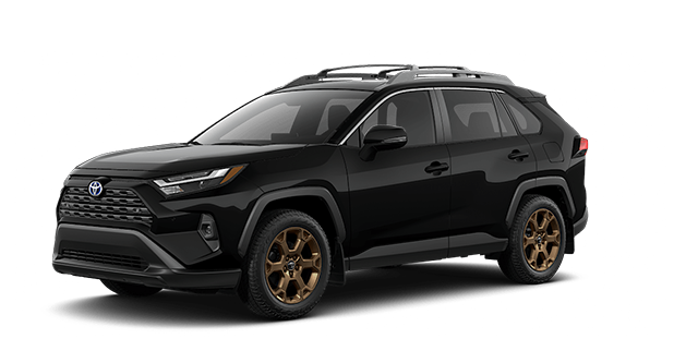 2025 TOYOTA RAV4 Hybrid WOODLAND - Exterior view - 2