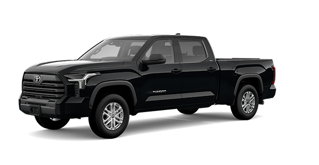2025 TOYOTA Tundra CREWMAX SR5 L - Exterior view - 2