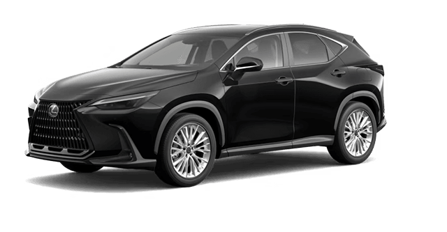 LEXUS NX Hybride LUXE 2026 - Vue extrieure - 2