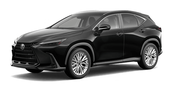 LEXUS NX Hybride ULTRA-LUXE 2026 - Vue extrieure - 2