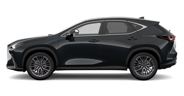 LEXUS NX EXÉCUTIF 2026 - Vue extérieure - 1