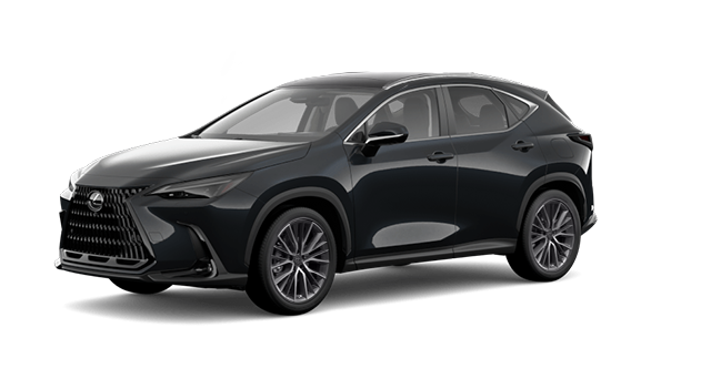 LEXUS NX EXÉCUTIF 2026 - Vue extérieure - 2