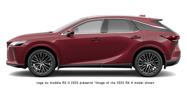 2026 LEXUS RX h 350H EXECUTIVE - Exterior view - 1