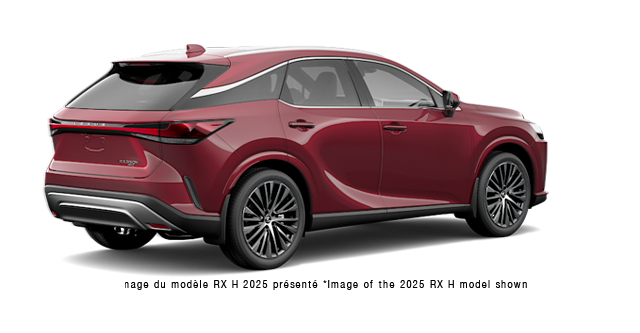 2026 LEXUS RX h 350H EXECUTIVE - Exterior view - 3