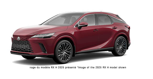 2026 LEXUS RX h 350H EXECUTIVE - Exterior view - 2