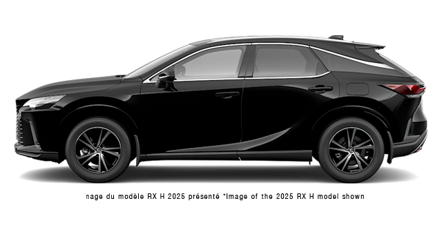 2026 LEXUS RX h 350H PREMIUM - Exterior view - 1