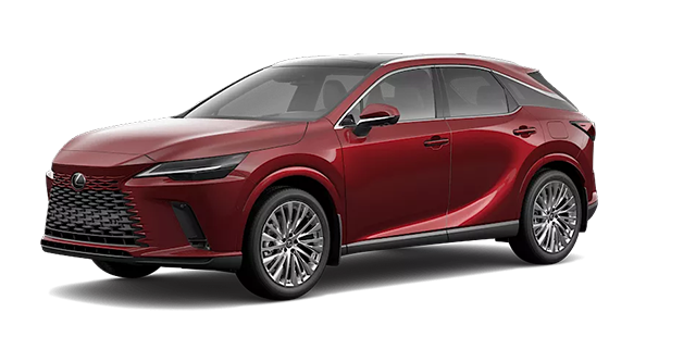 LEXUS RX EXÉCUTIF 2026 - Vue extérieure - 2