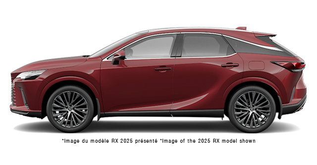 LEXUS RX LUXE 2026 - Vue extrieure - 1