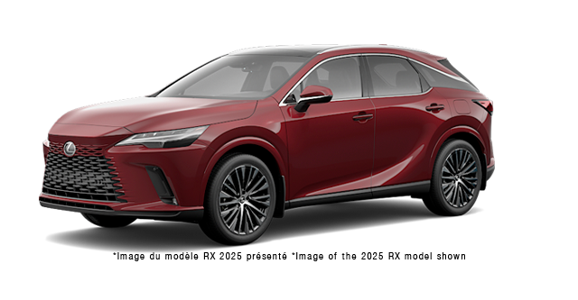 LEXUS RX ULTRA-LUXE 2026 - Vue extrieure - 2