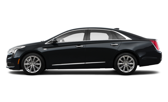 John Bear Hamilton The 2019 Xts Base Xts