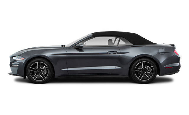 2023 FORD MUSTANG CONVERTIBLE ECOBOOST PREMIUM photo-3