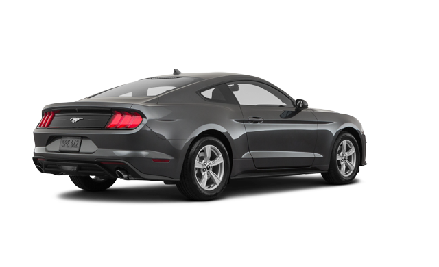 Stockfish Ford | The 2023 Mustang Fastback EcoBoost