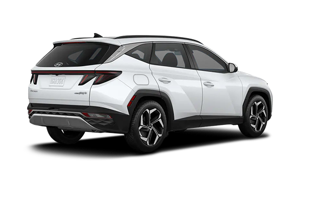 Hyundai phev shop