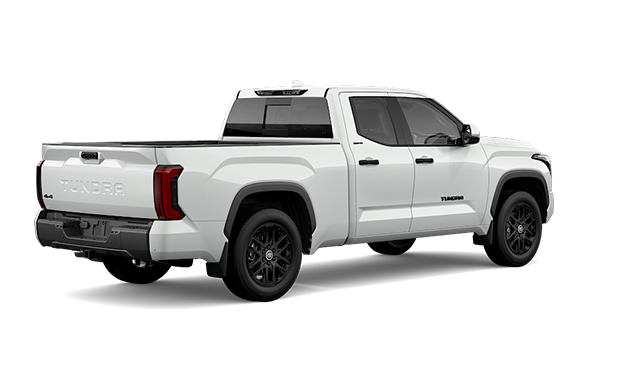 Weathertech Floorliner Anteriore Per Toyota Tundra Double Cab 2004-2006, Colore Marroncino, Tappetini Su Misura