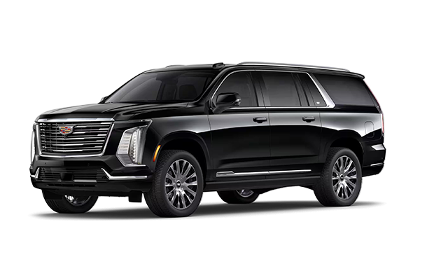 Premium Luxury Platinum