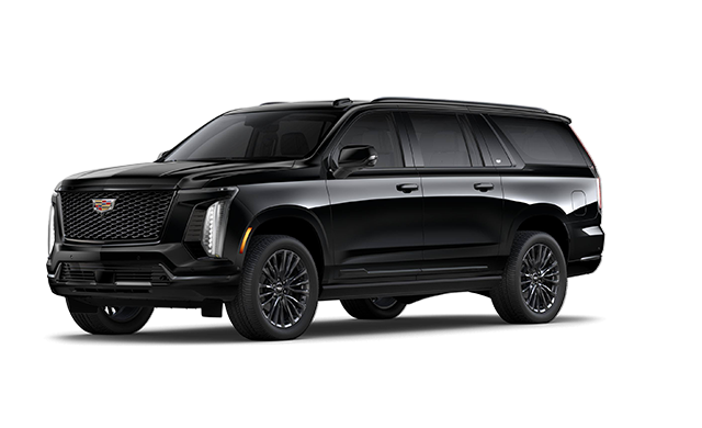 Sport Platinum