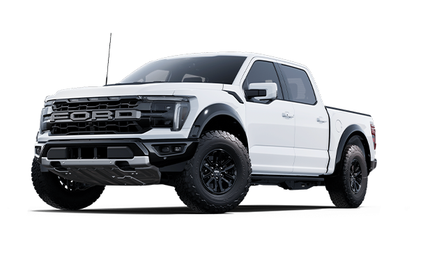 RAPTOR