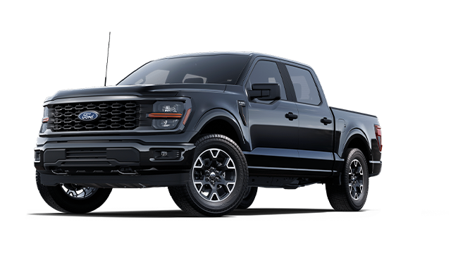 FORD F-150  2025