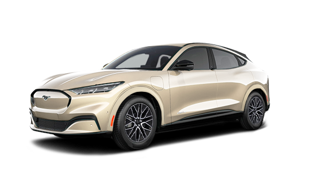 Premium AWD