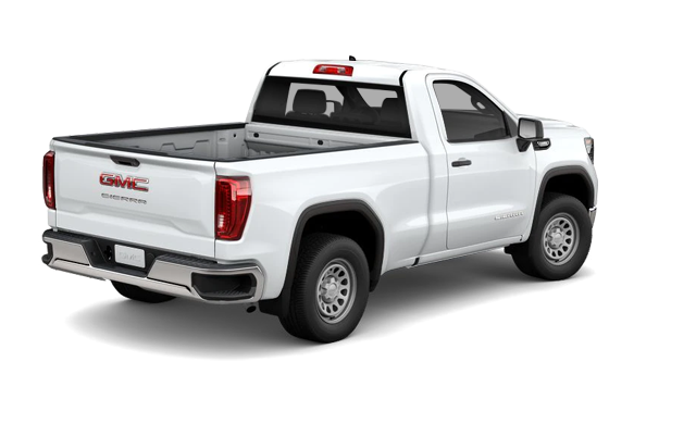 2025 GMC SIERRA 1500 PRO - Exterior view - 3