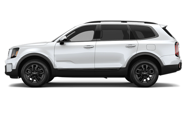 2025 kia Telluride