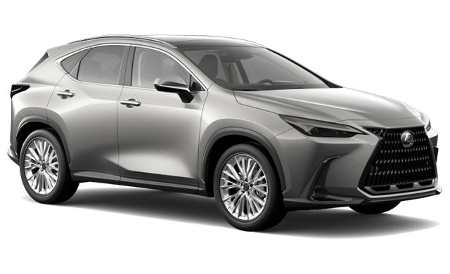 2025 LEXUS NX Hybrid 350H photo-3
