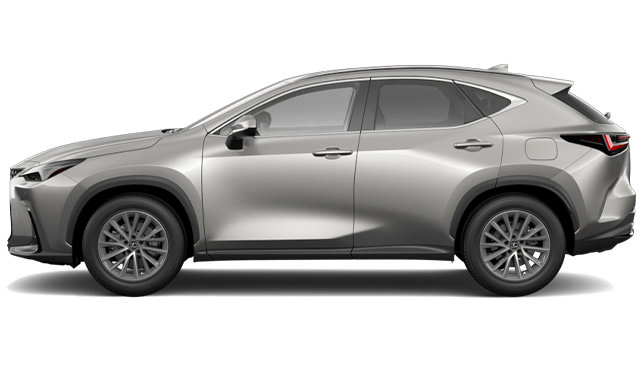 2025 LEXUS NX 250 SIGNATURE photo-0