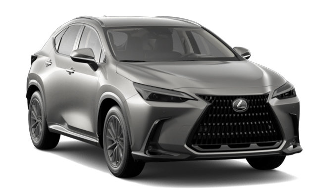 2025 LEXUS NX 250 SIGNATURE photo-3