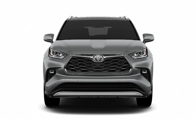 2025 TOYOTA Highlander Hybrid PLATINUM photo-3