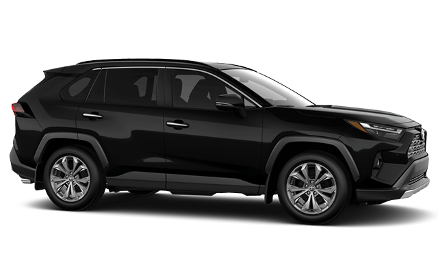 2025 TOYOTA RAV4 Hybrid LIMITED photo-3