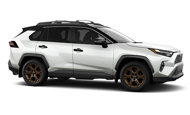 2025 TOYOTA RAV4 Hybrid WOODLAND photo-3