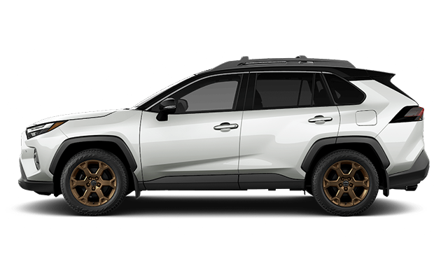 2025 TOYOTA RAV4 Hybrid